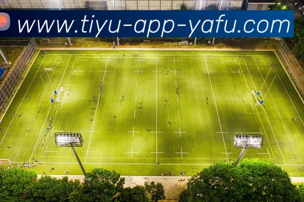 App Interface Preview